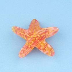 PINCE A CHEVEUX ETOILE DE MER