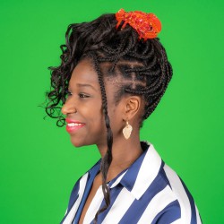 PINCE A CHEVEUX HOMARD