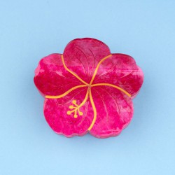PINCE A CHEVEUX HIBISCUS