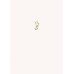 PIERCING QUINTUPLE BAGUETTE OR