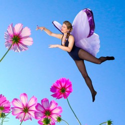 PINCE A CHEVEUX PAPILLON MAUVE