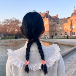 MINI PINCE A CHEVEUX COEUR...