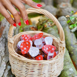 PINCE A CHEVEUX CHAMPIGNON