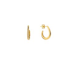 BOUCLES D'OREILLES SHINY...