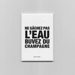 MAGNET ECOLO DANS L'AME