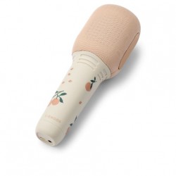 MICRO DE KARAOKE BEINTA...