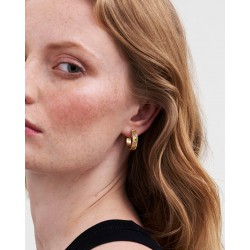 BOUCLES D'OREILLES CREOLES...