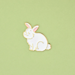 PIN'S LAPIN