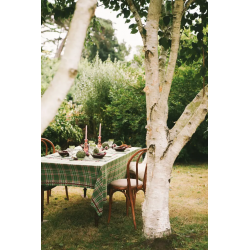 NAPPE POTTER GREEN 170X300