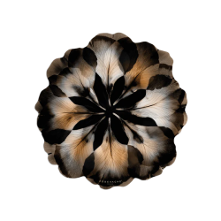 SET DE TABLE VINYLE COROLLO