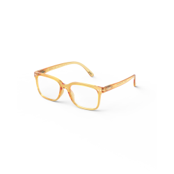 LUNETTES DE LECTURE ADULTE...