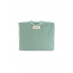 SAC CELESTINS - RAYE VERT...