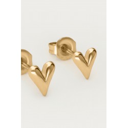 BOUCLES D'OREILLES PUCES...