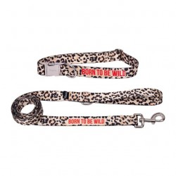 PACK COLLIER ET LAISSE...