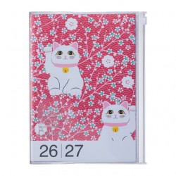 AGENDA A5 CAT 2027