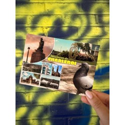 CARTE POSTALE SOUVENIRS DE...