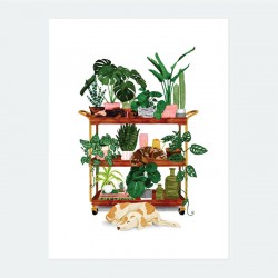 POSTER PLANT SHELF
