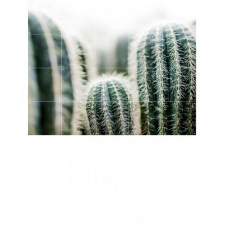 CACTUS AND LEAVES - SMALL